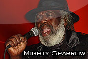 badge-sparrow